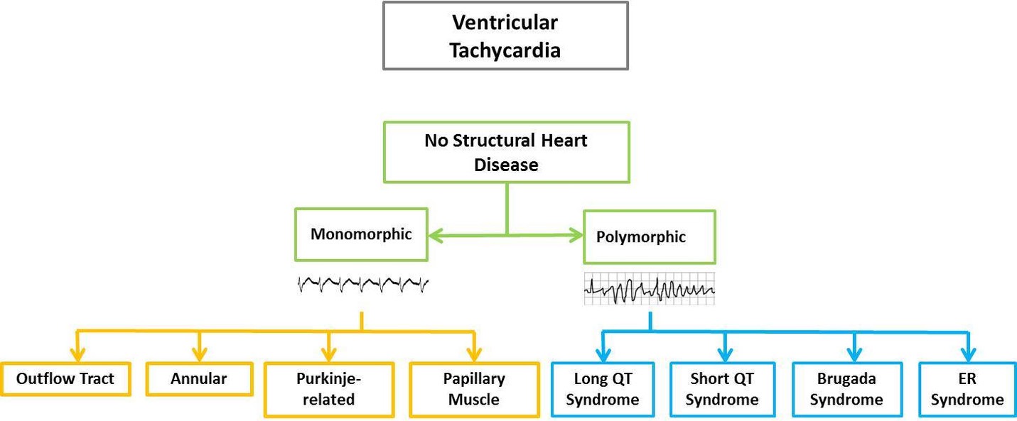 Matemáticas viva Dureza Taquicardia ventricular en ausencia de cardiopatía estructural - Sociedad  Latinoamericana del Ritmo Cardíaco / Latin American Heart Rhythm Society